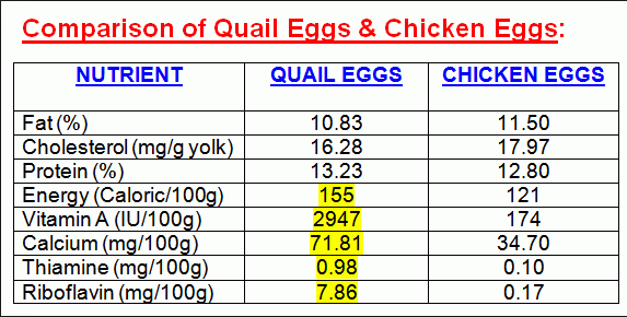 What can Quail do for you? Part one: The Incredible, and very edible ...