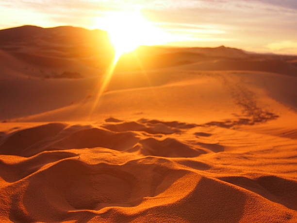footprints-in-sand-dunes-picture-id493633886.jpg