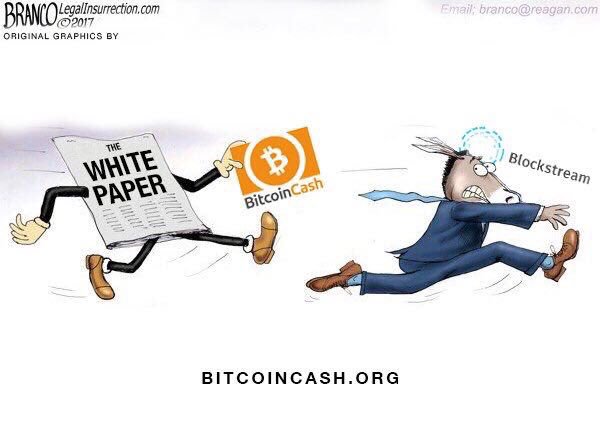 Bitcoin Cash.jpg