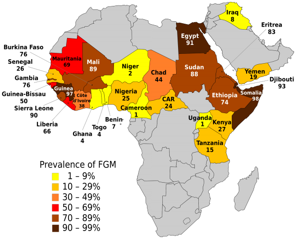 ResizedImage600484-FGM-prevalence-UNICEF-2015.png