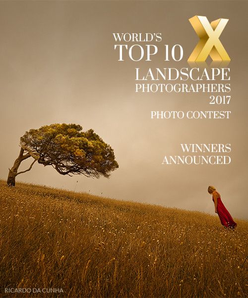 winners-announced-banner-500px.jpg