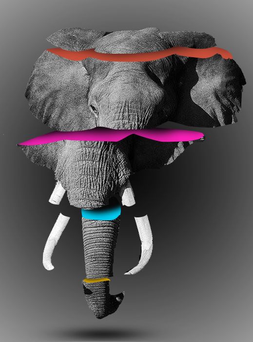 elephant.jpg