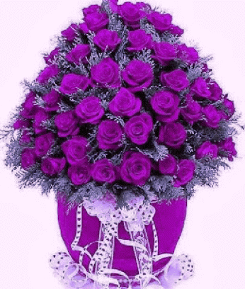 received_127172779630572uddnnla245.gif