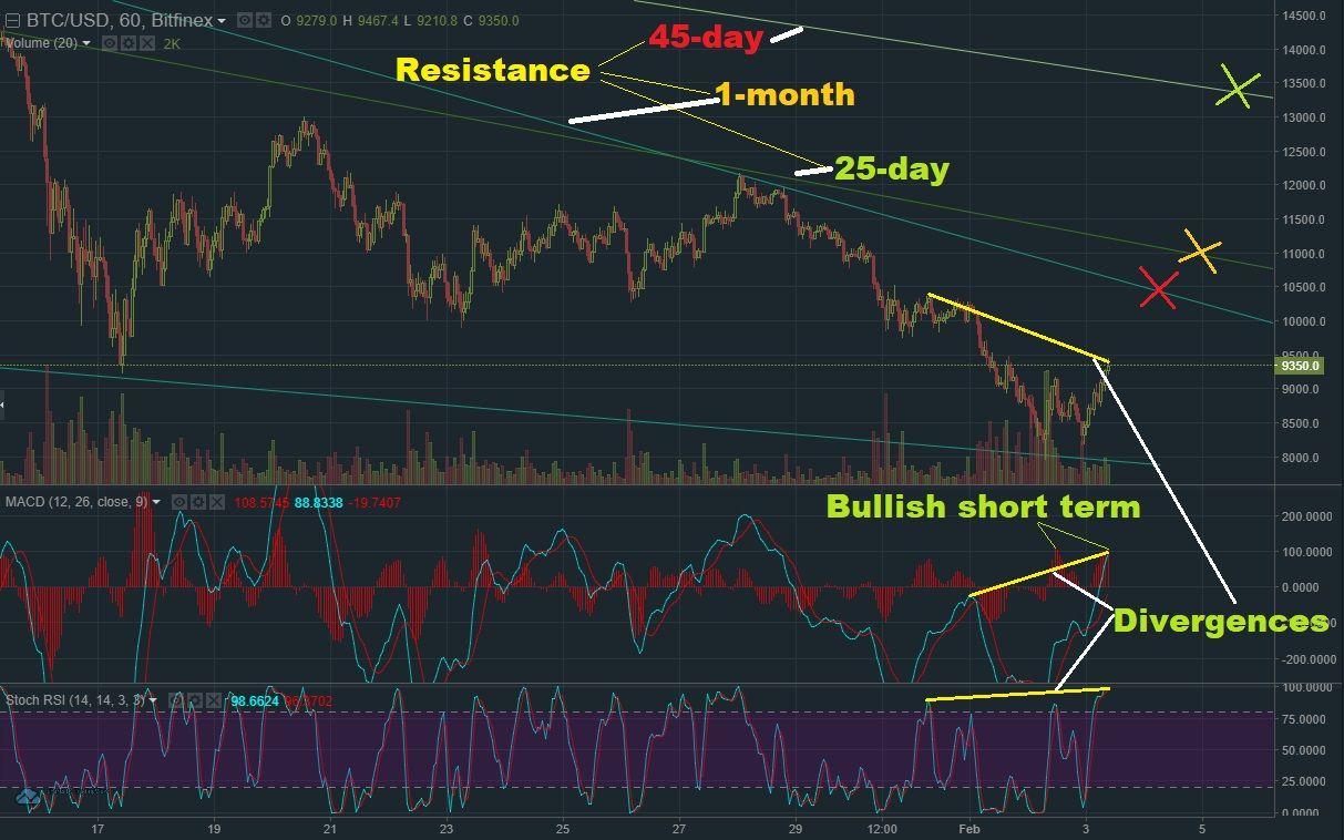 Feb 3 BTC T&A.jpg