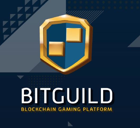 bitguild logo.JPG