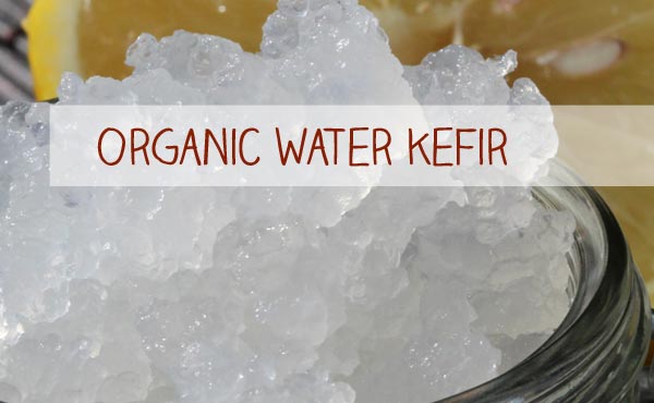 small-top-waterkefir.jpg