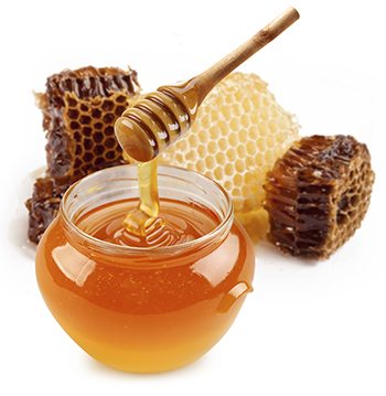 Manuka Honey1.jpg