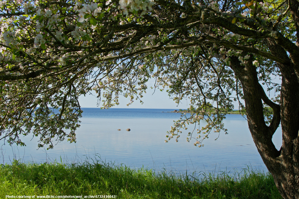 SummerSceneAtTheLake-001-051518.jpg