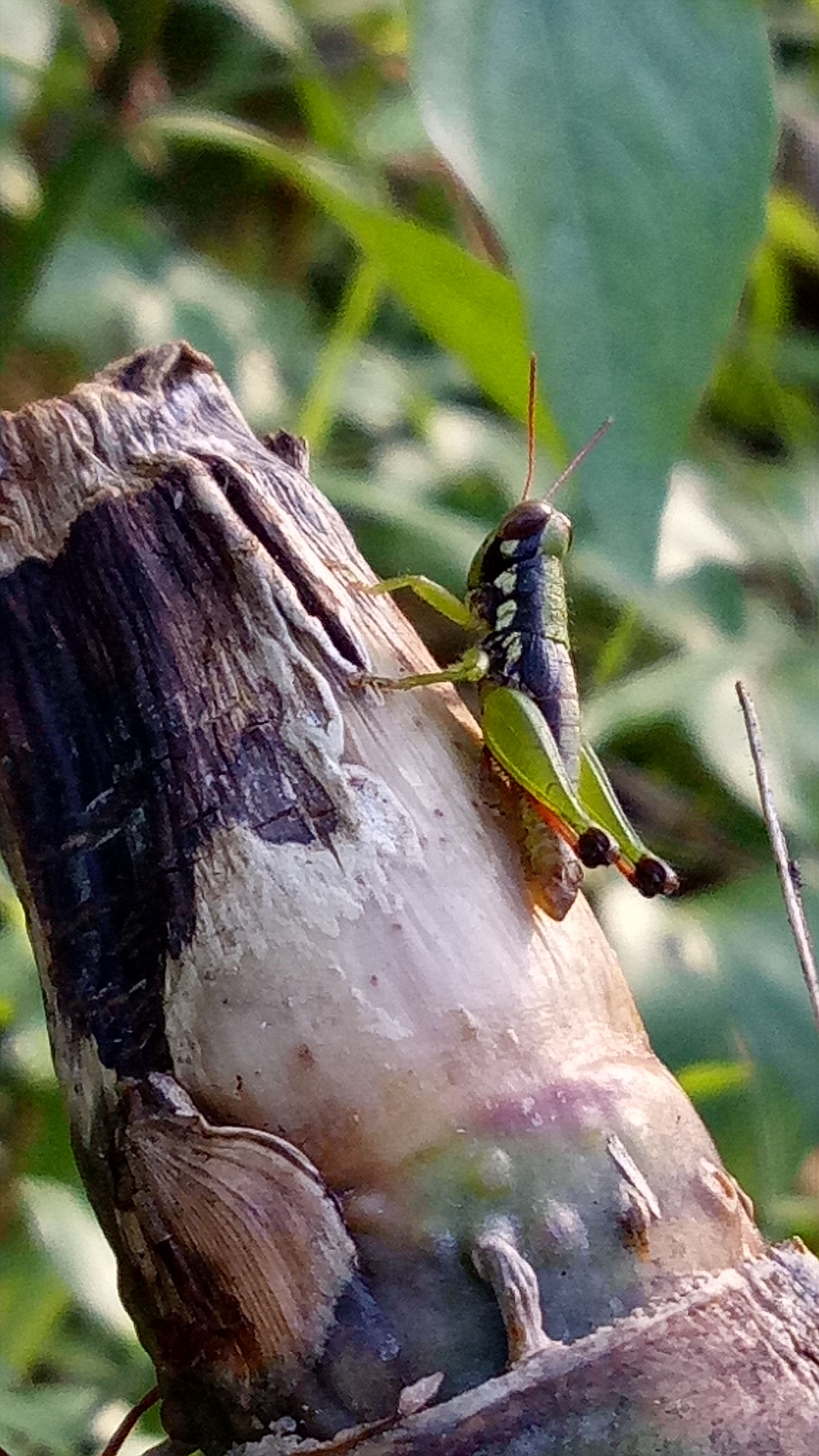 IMG20180308171937.jpg