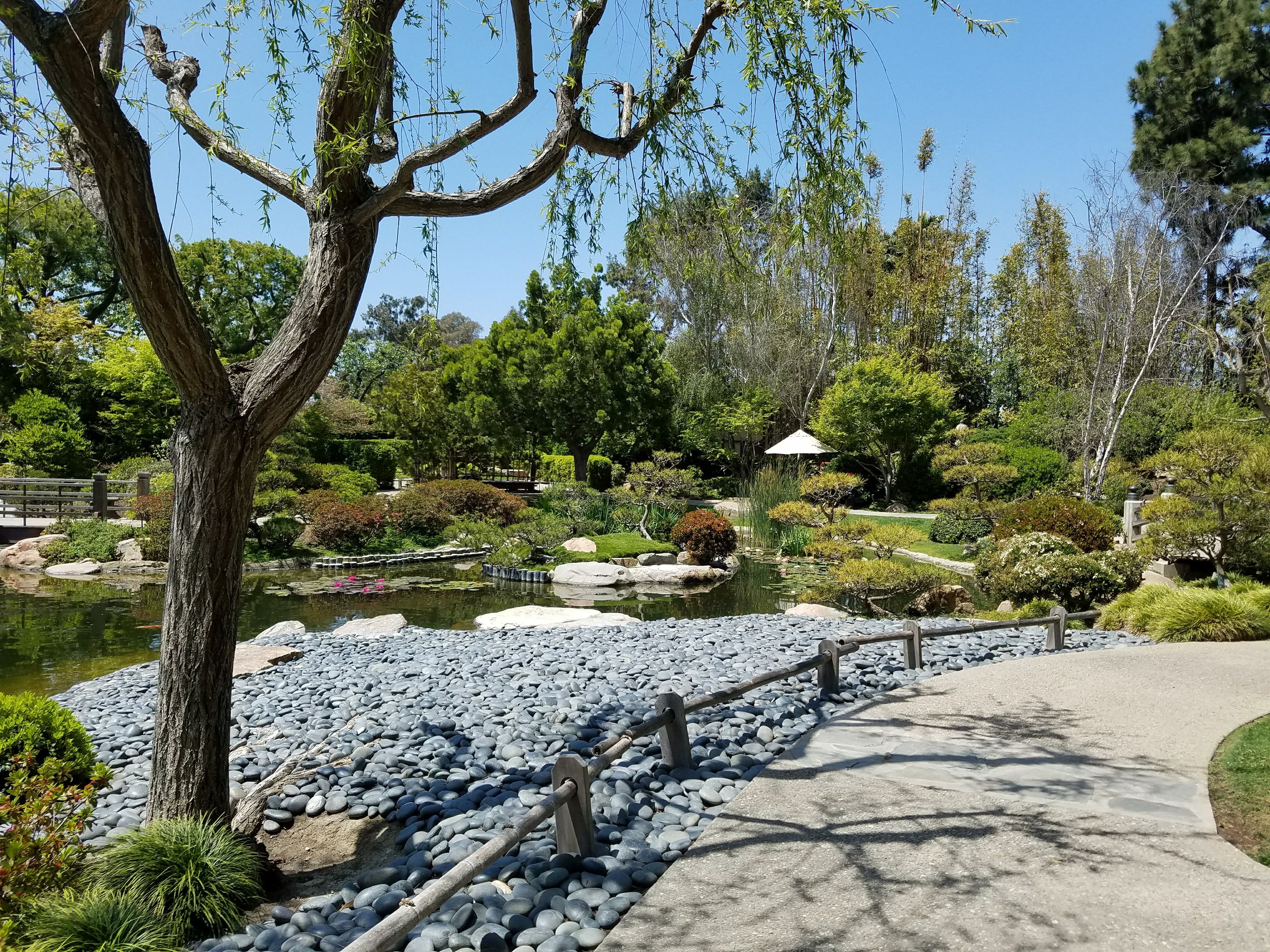 20180427_120650.jpg