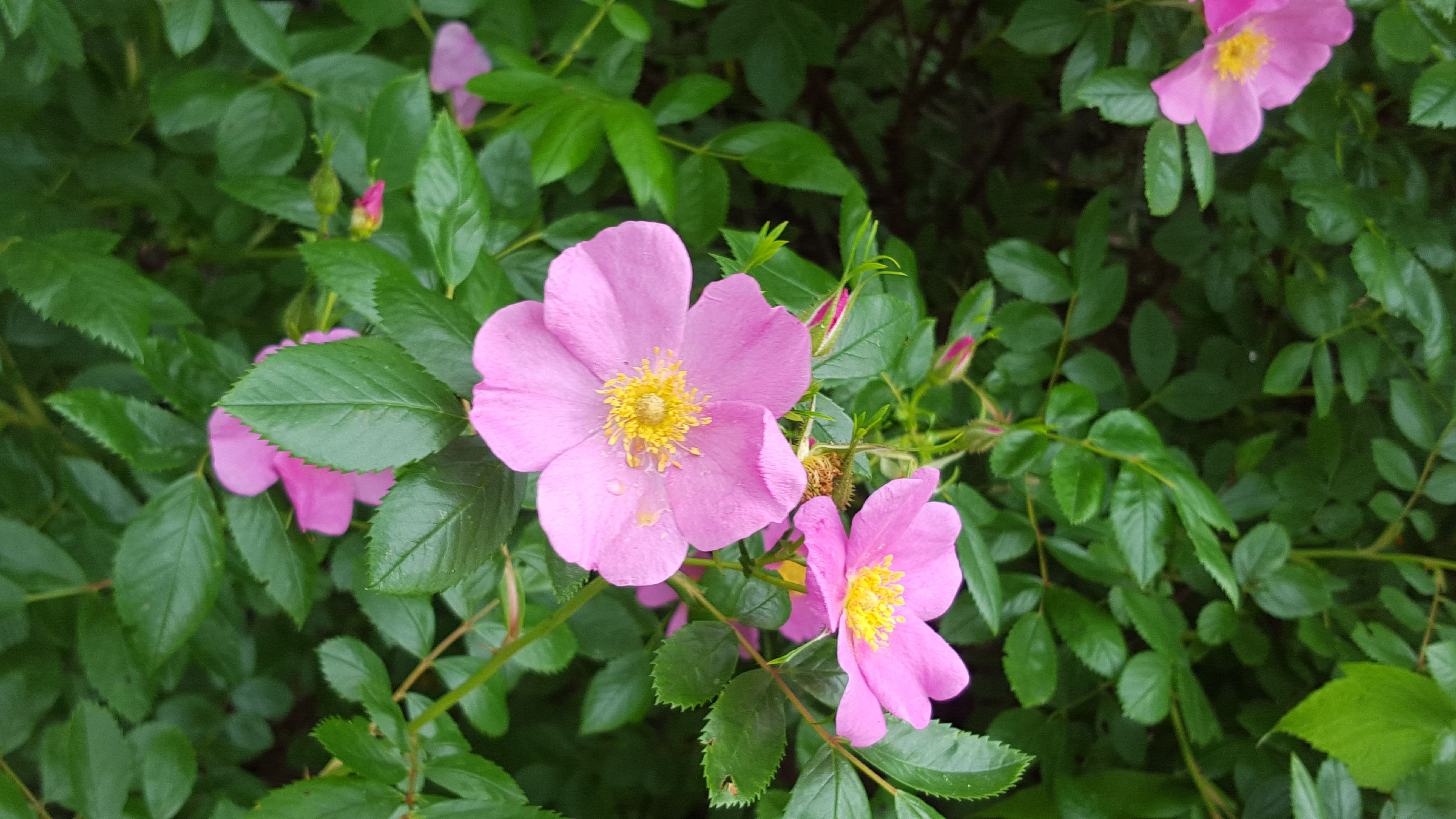 20150723_105735.jpg