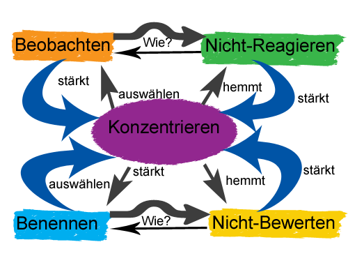 5-Elemente-der-Achtsamkeit.png