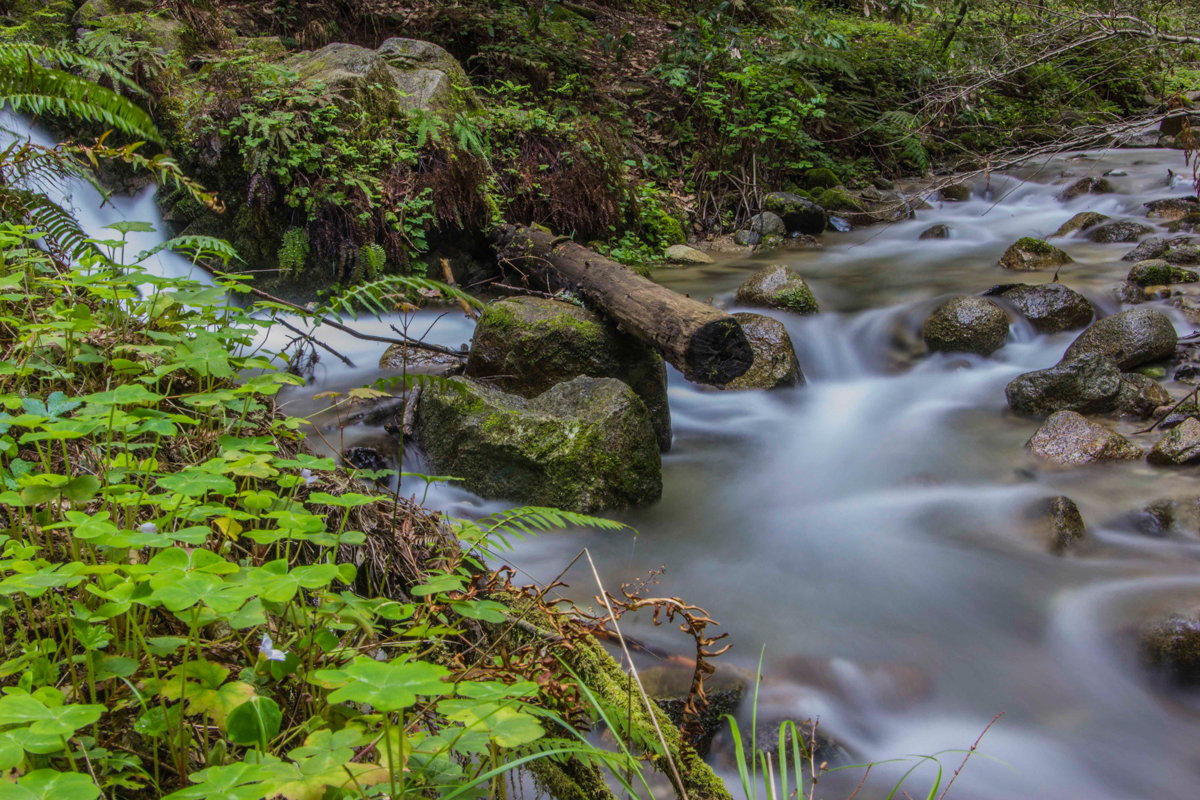 Fall creek long exposure.jpg