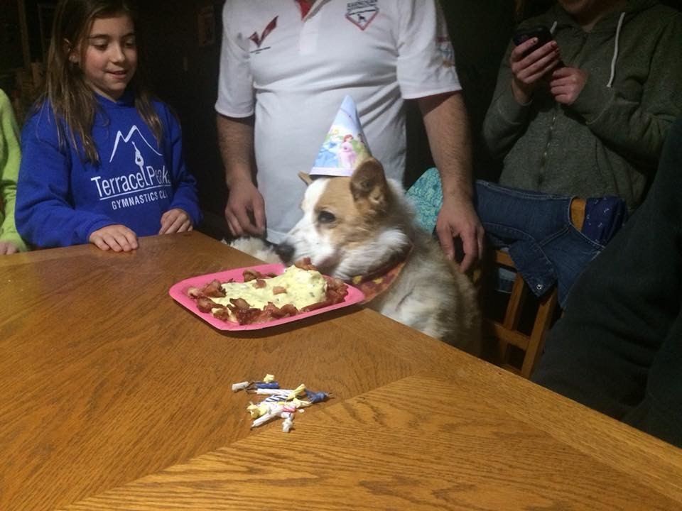 Dog1_IMG_1120.jpg