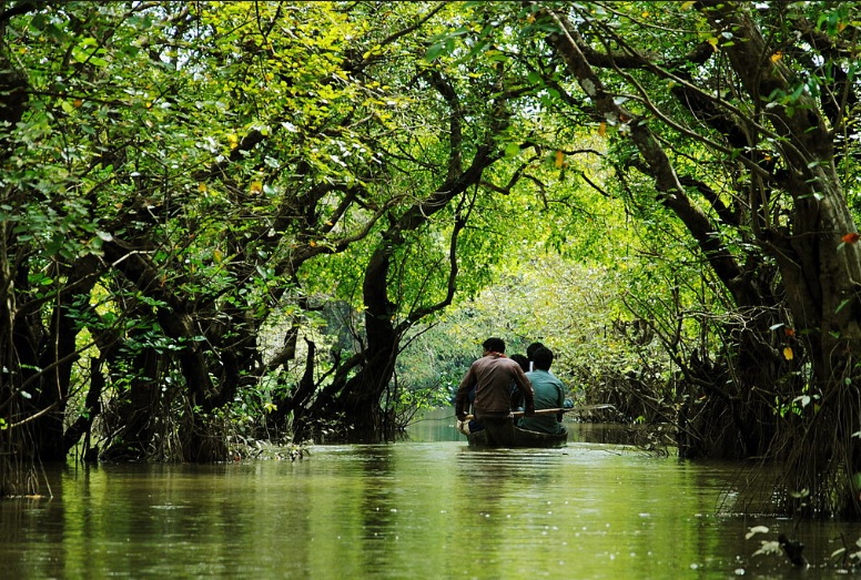 Sundarban Tourism