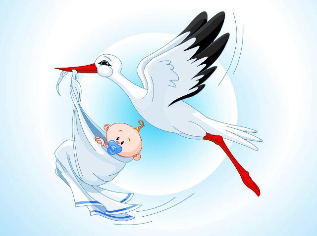 FreeVector-Stork-Baby-Cartoon.jpg