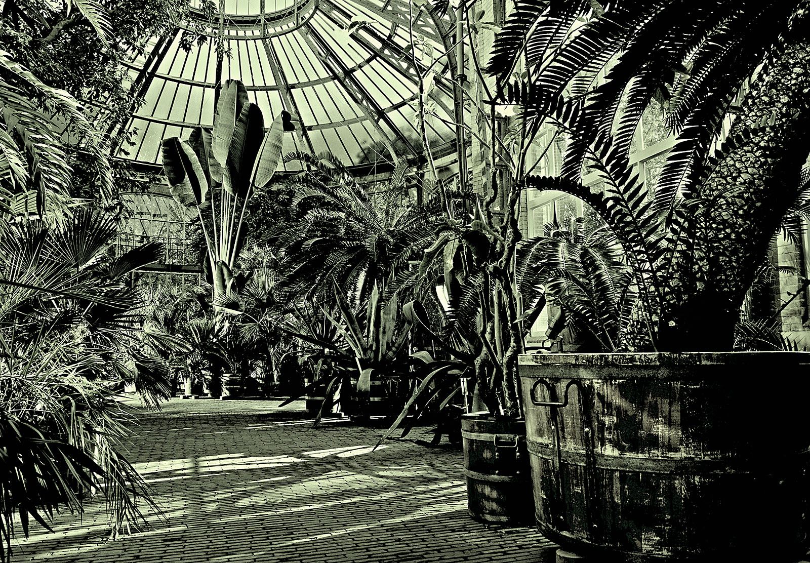 Hortus.jpg