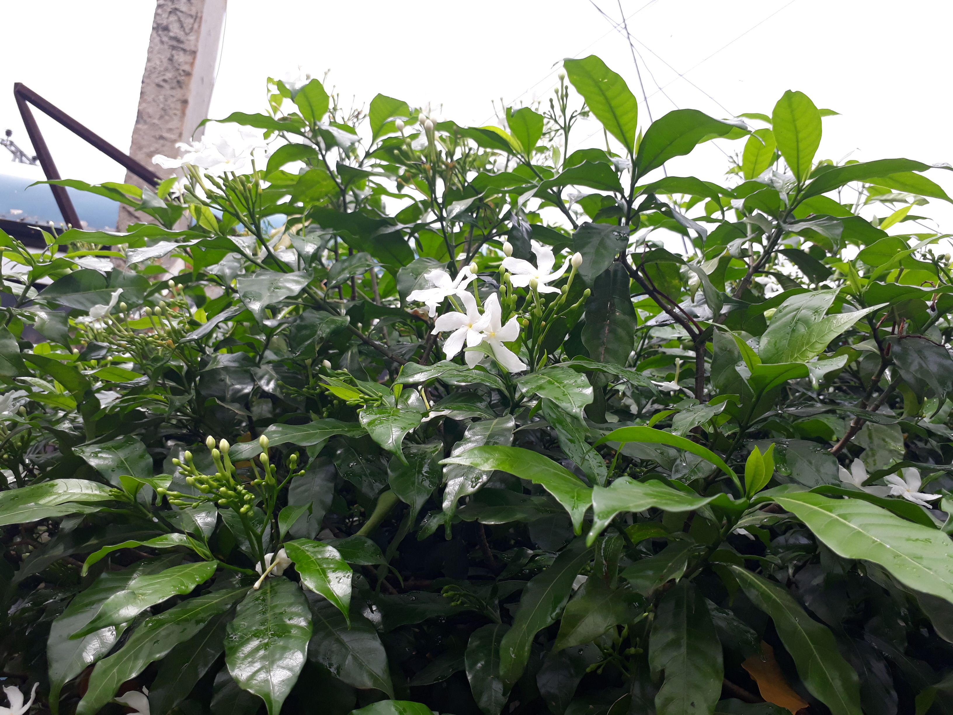 20170918_121056.jpg