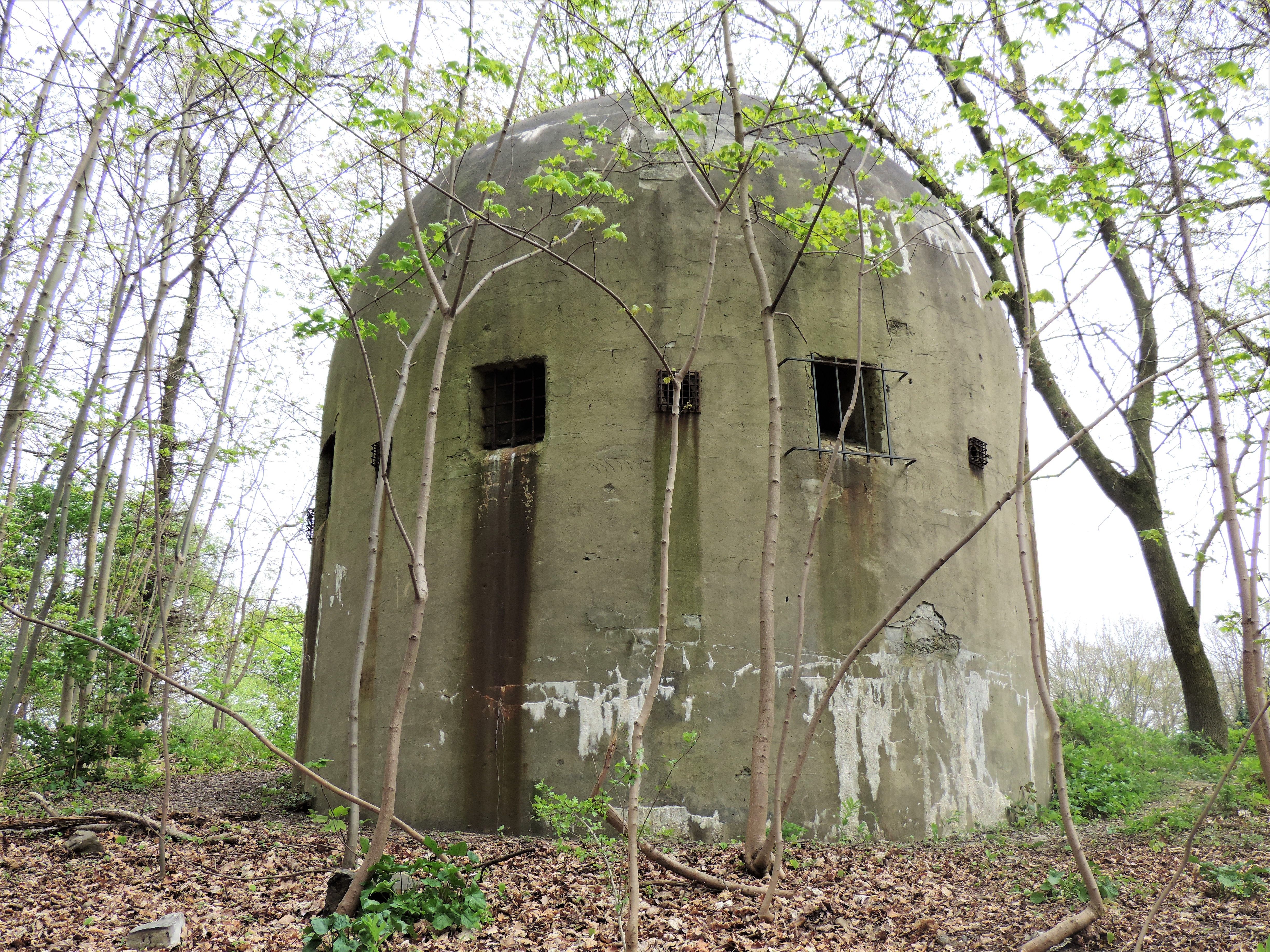DSCN7039.JPG