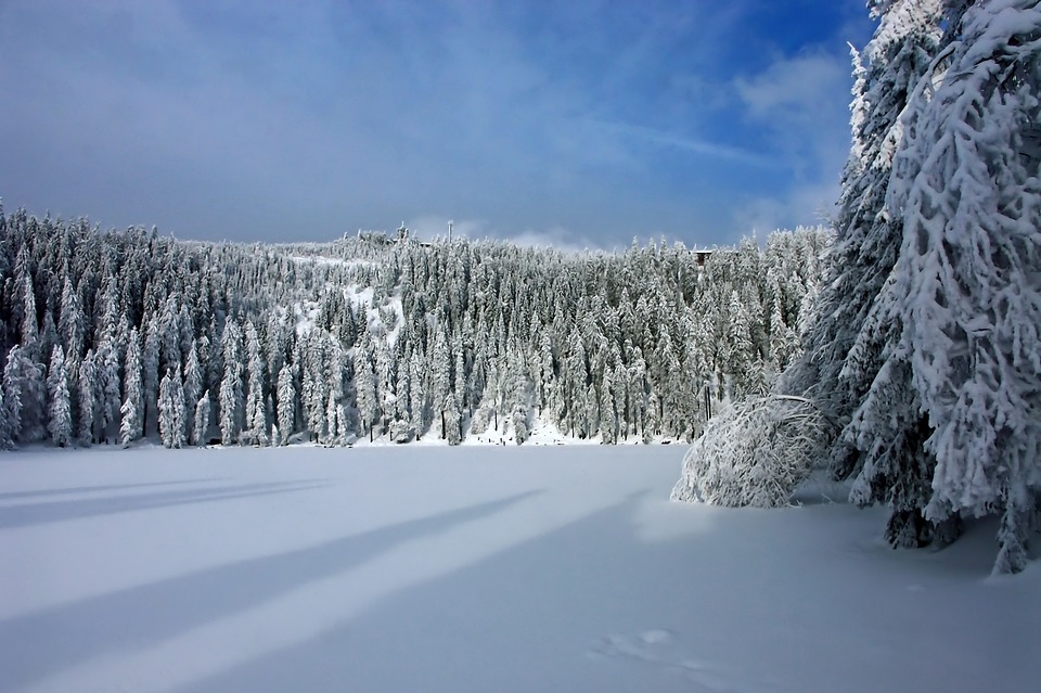 winter-2997365_960_720.jpg