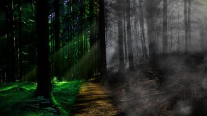 death-forest-pixabay-300x168.jpg