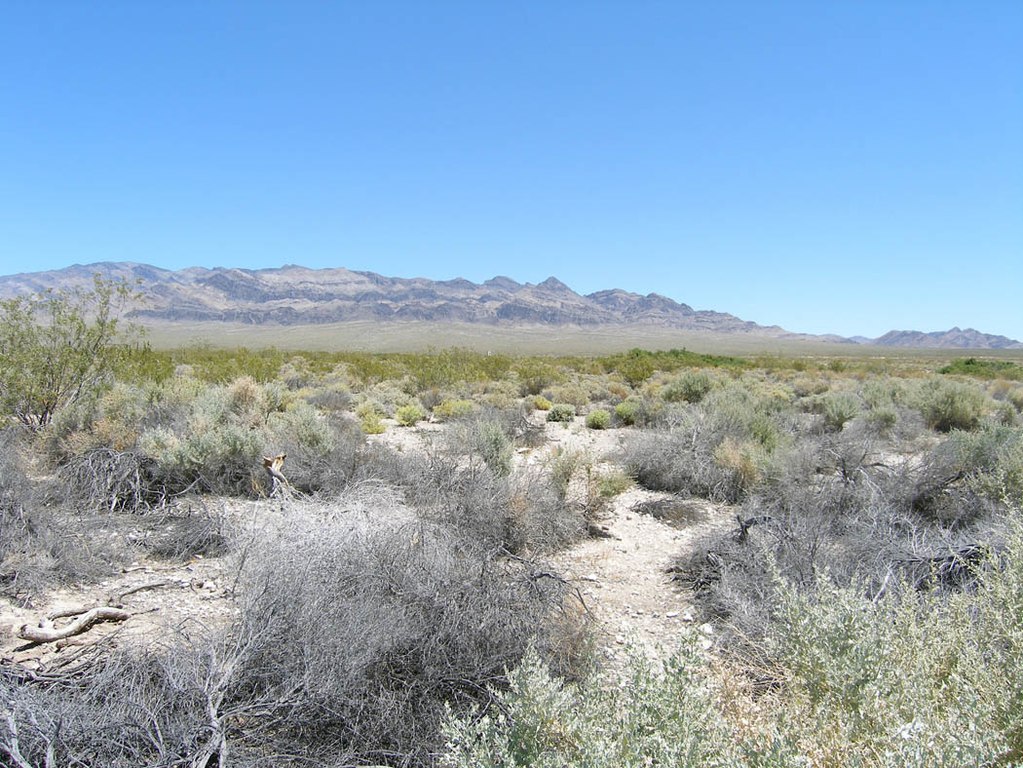 1024px-Desert_Environment_in_the_Desert_National_Wildlife_Refuge.jpg