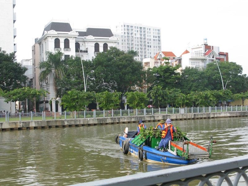 Water hyacinth collectors.jpg