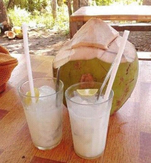 Manfaat Air Kelapa Muda Bagi Kesehatanbenefits Of Young