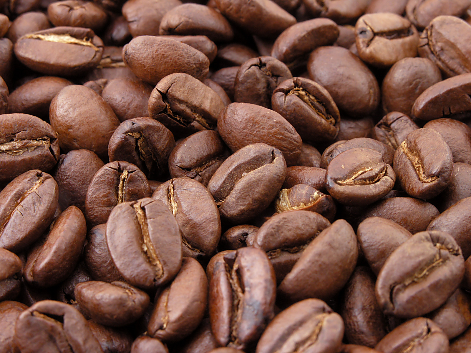 Roasted_coffee_beans.jpg