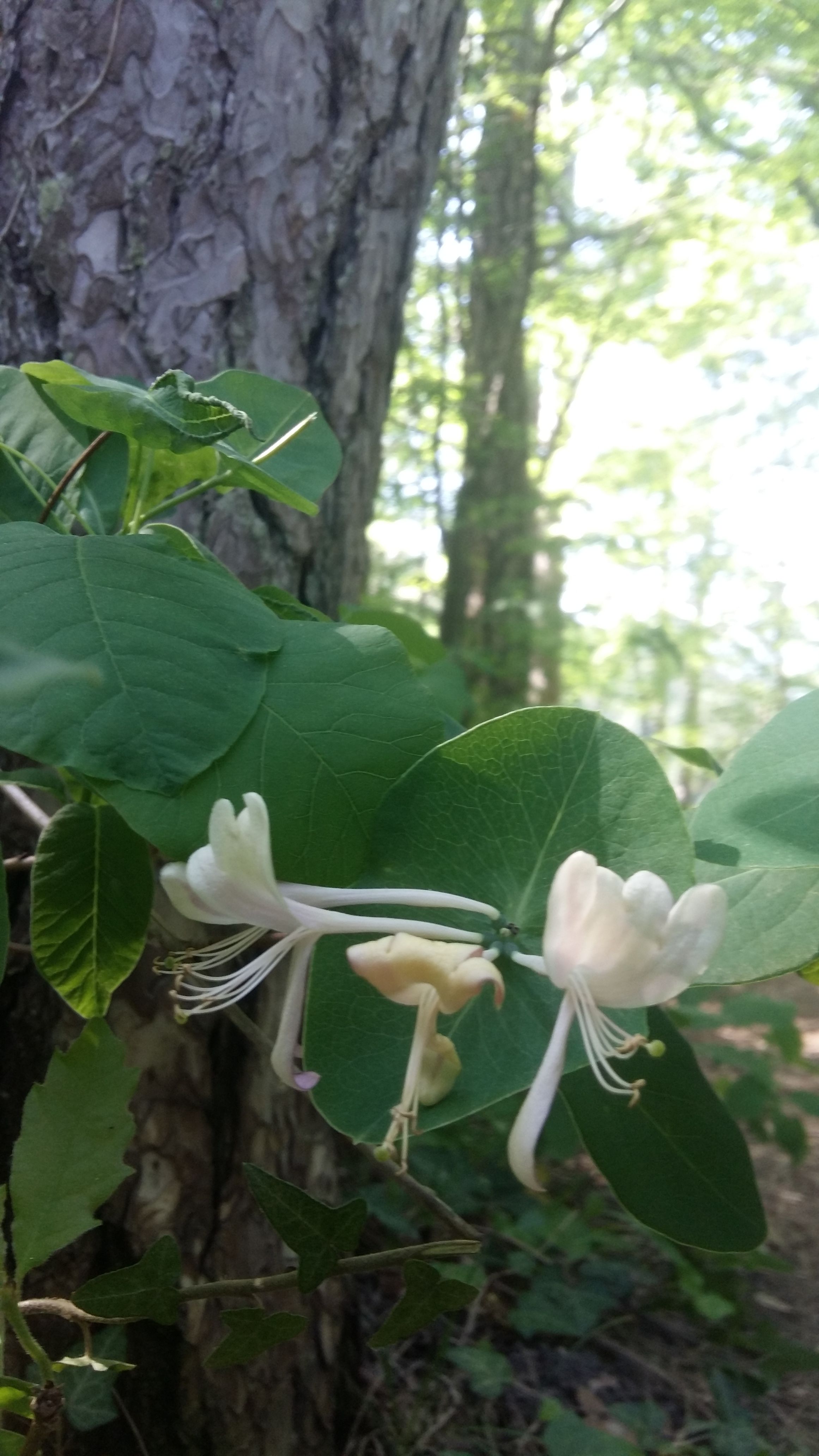 20180502_151238.jpg
