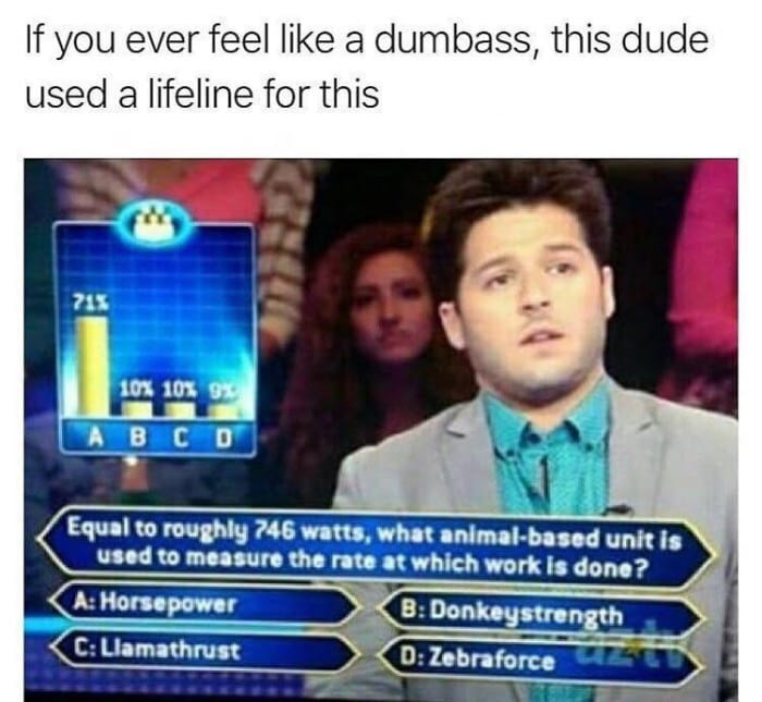 LLAMATHRUST.jpg