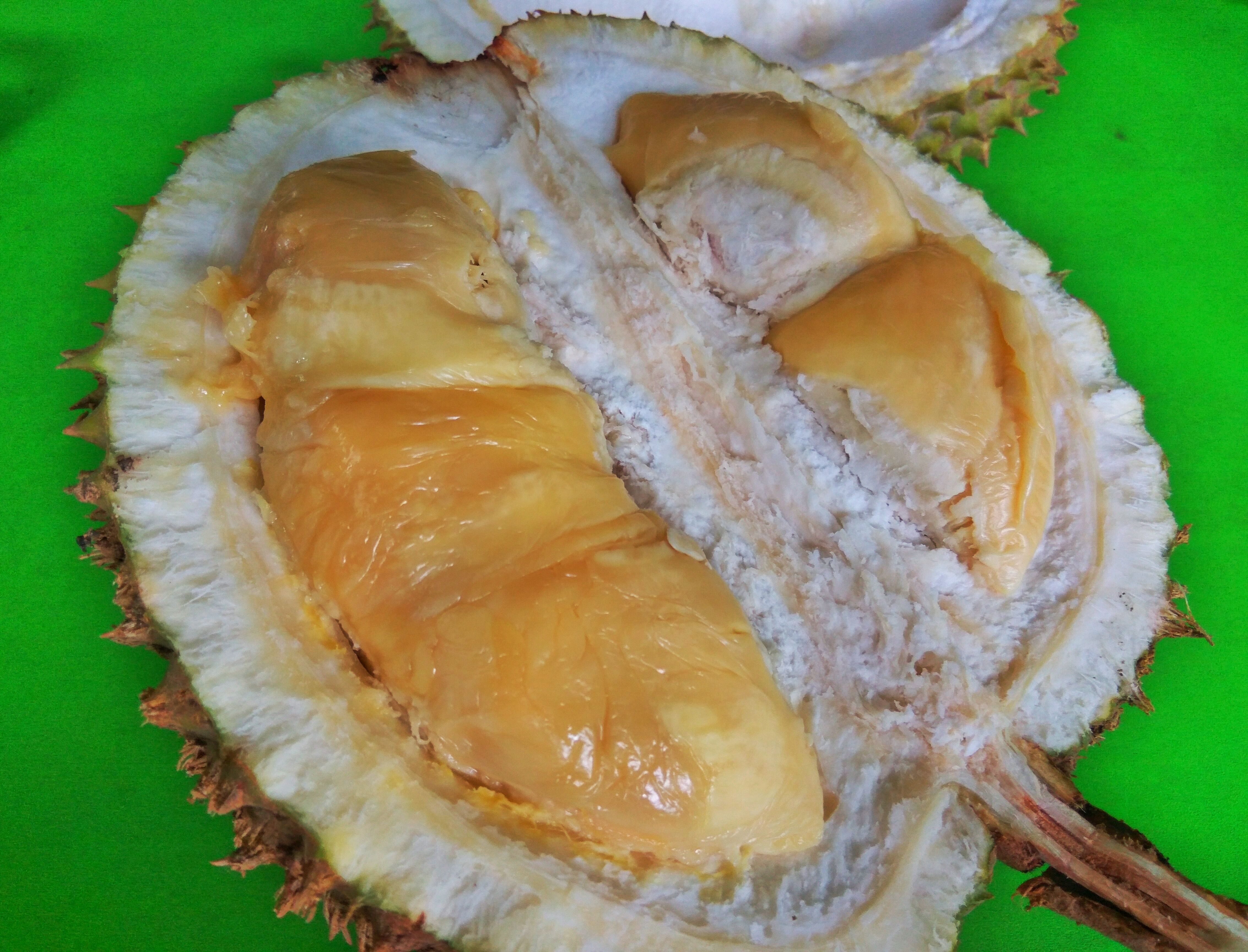 Download 920 Gambar Durian Lampung Terbaik HD