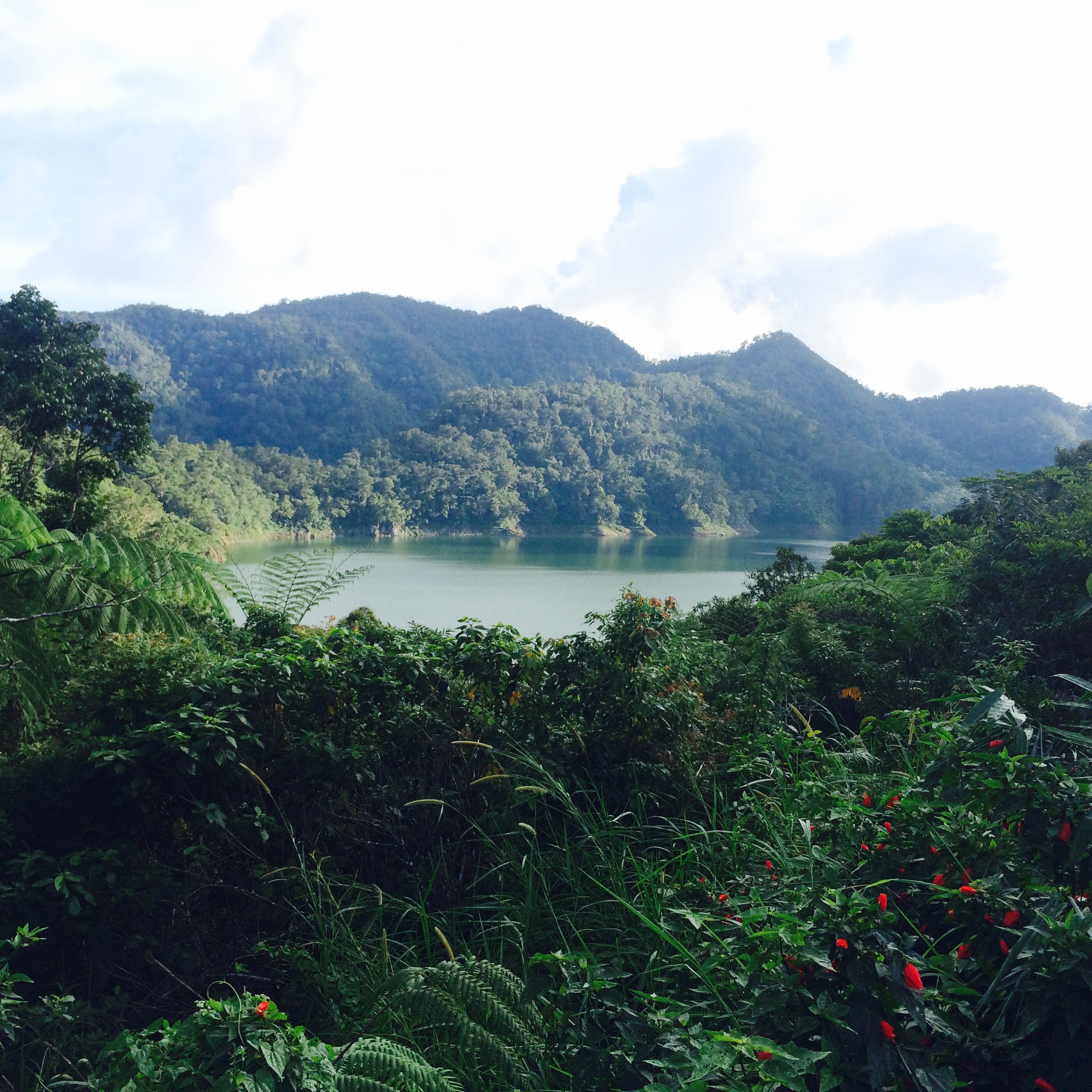 CA04F214-EB9C-452D-AD1C-755B304B5306.jpeg
