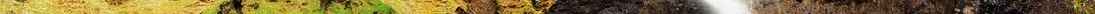 foss_a_sidu_by_somadjinn-dbe4sky 2.jpg