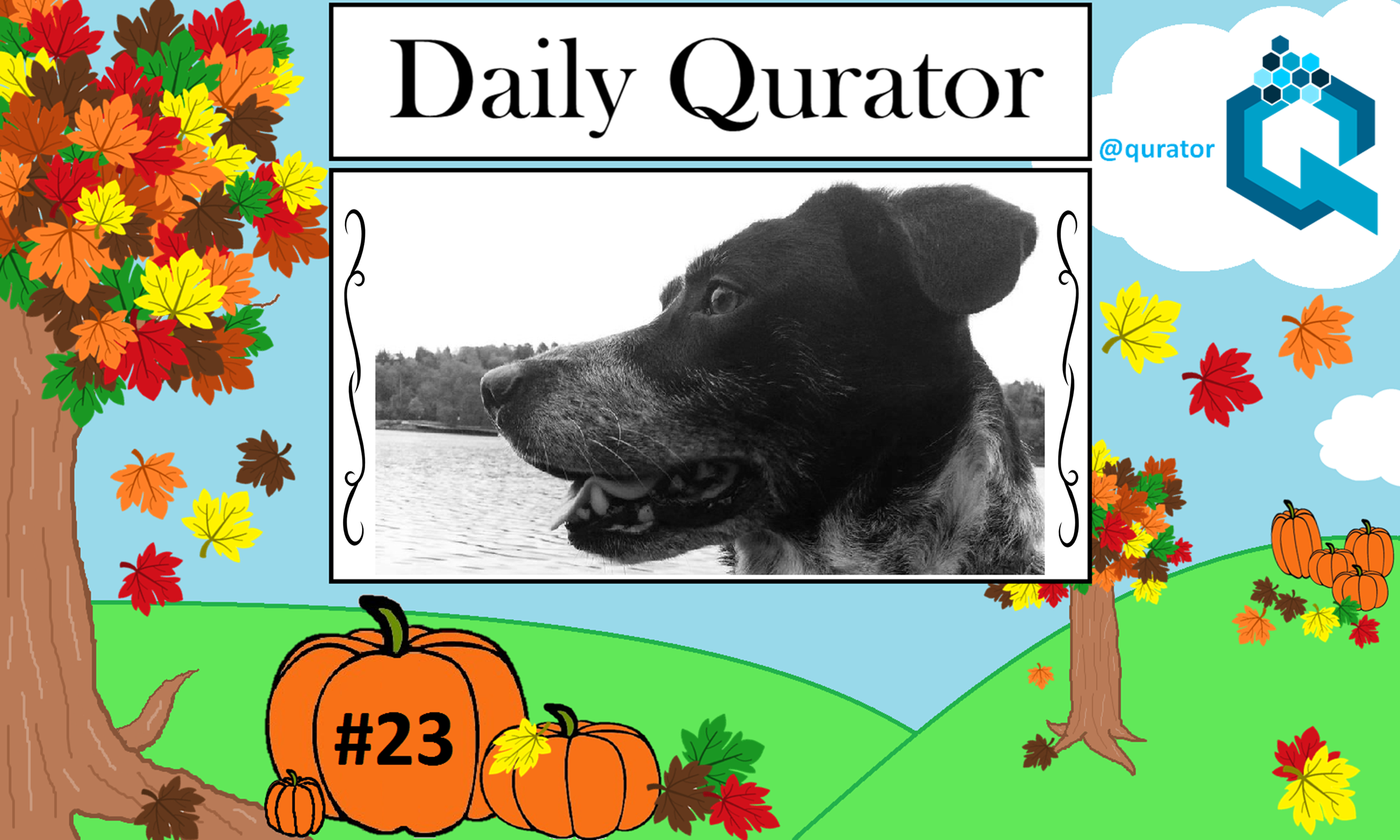 Qurator Cover Photo Challenge With Text PP.png
