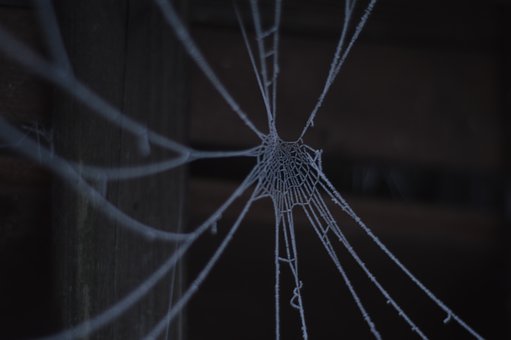 cobweb-2099883__340.jpg