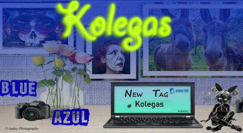 kolegas.jpg