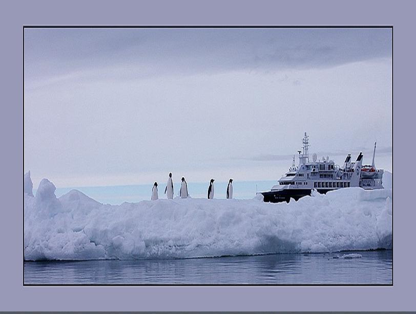 Antarctica_25.JPG