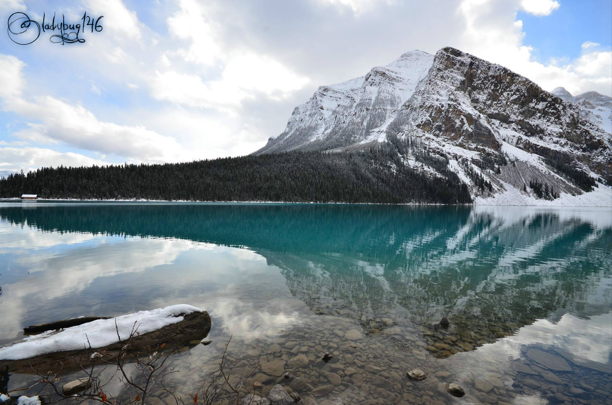 lake louise4.jpg