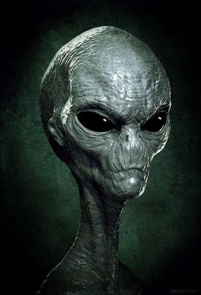 f43dcef0317dfb26f5b3723c8c0f556b--grey-alien-alien-nation.jpg