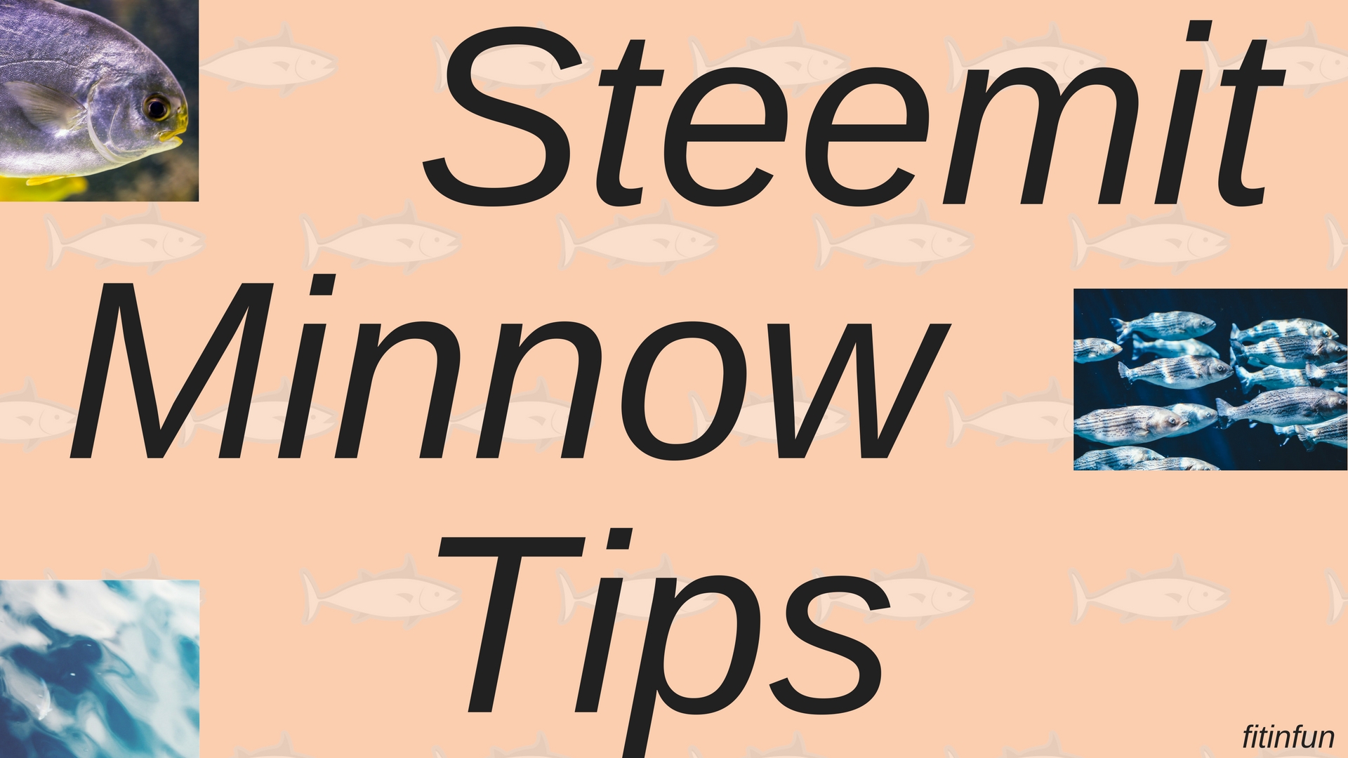Steemit Minnow tips fitinfun.jpg