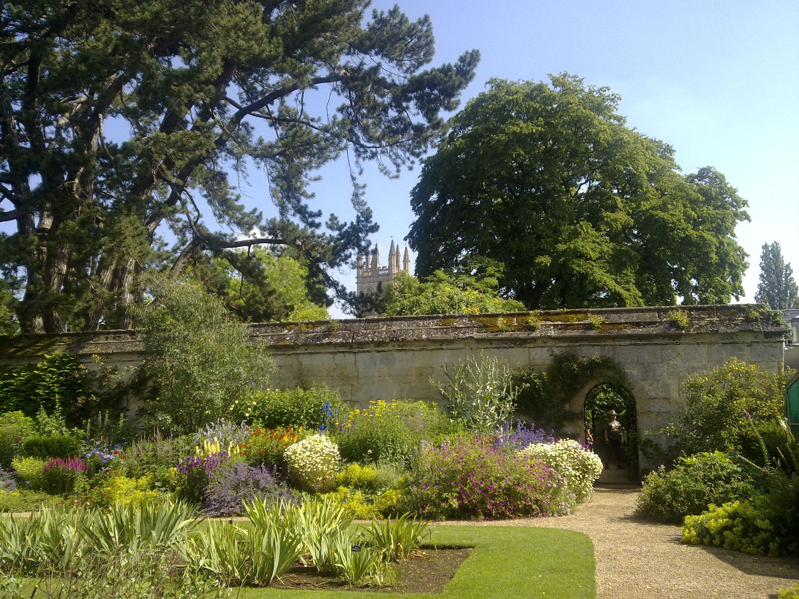 An_obscured_Magdalen_Great_Tower_from_the_Botanic_Gardens 2.jpg