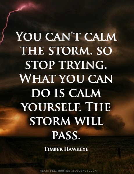 You can't calm the storm. So Stop trying. What you can do is alm yourself. The storm will pass.jpg