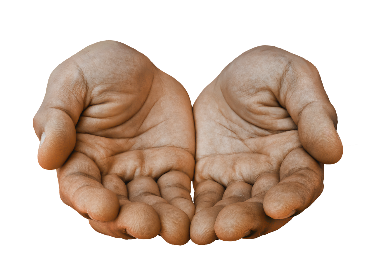 hands-1922053_1280.png