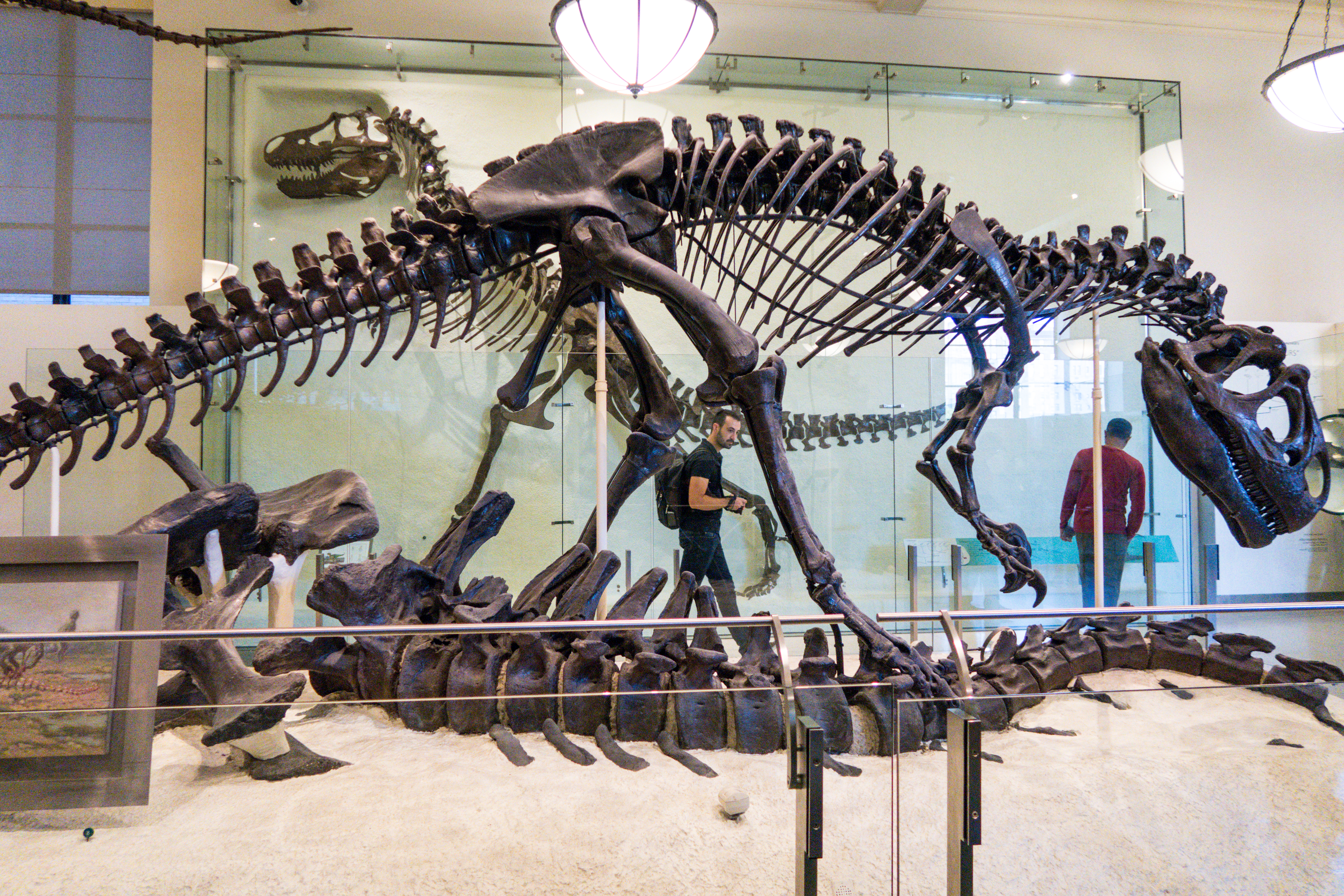 American Museum of Natural History_64.jpg