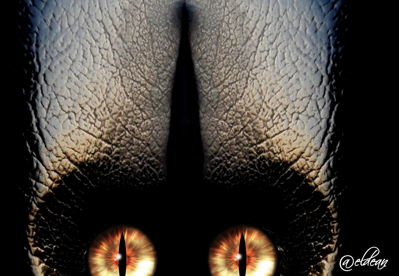 alien.png