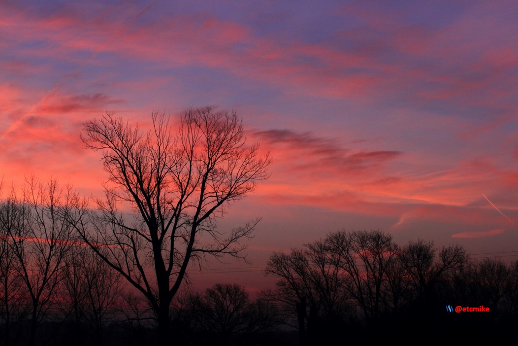 pink sunrise dawn SR15-16.JPG
