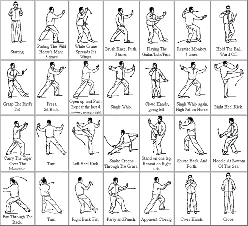 TaiChi24form.gif