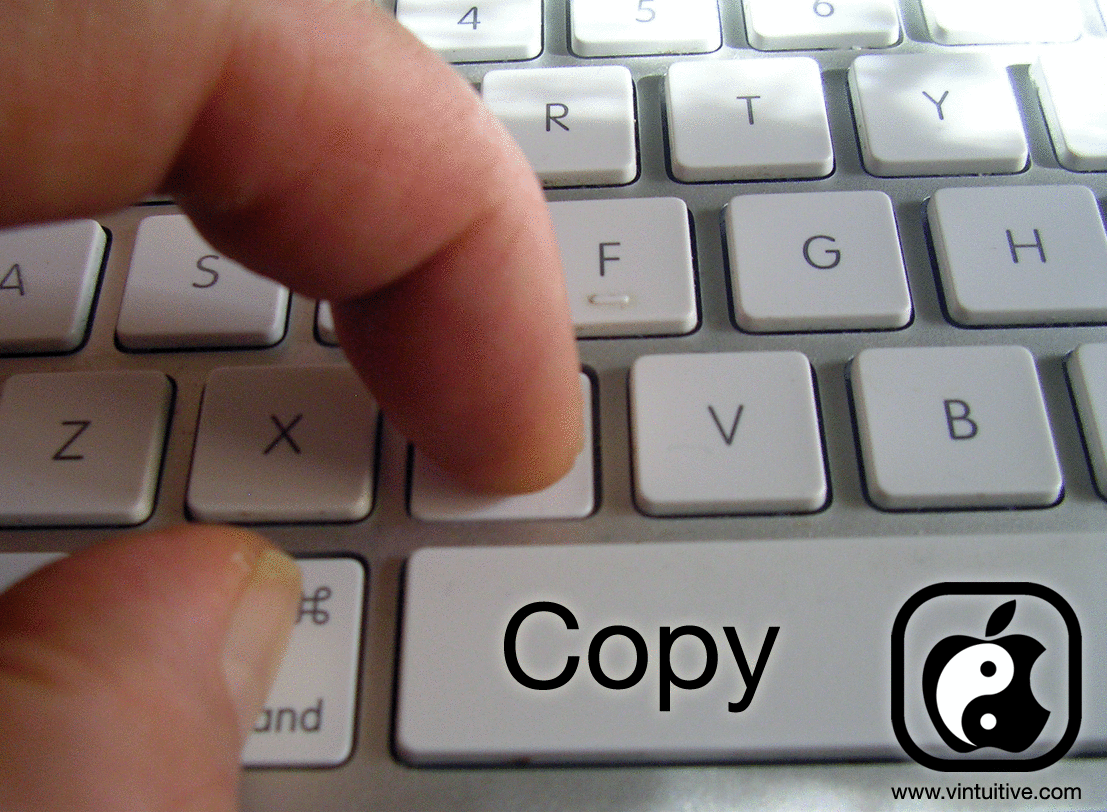 How to Copy and Paste a GIF