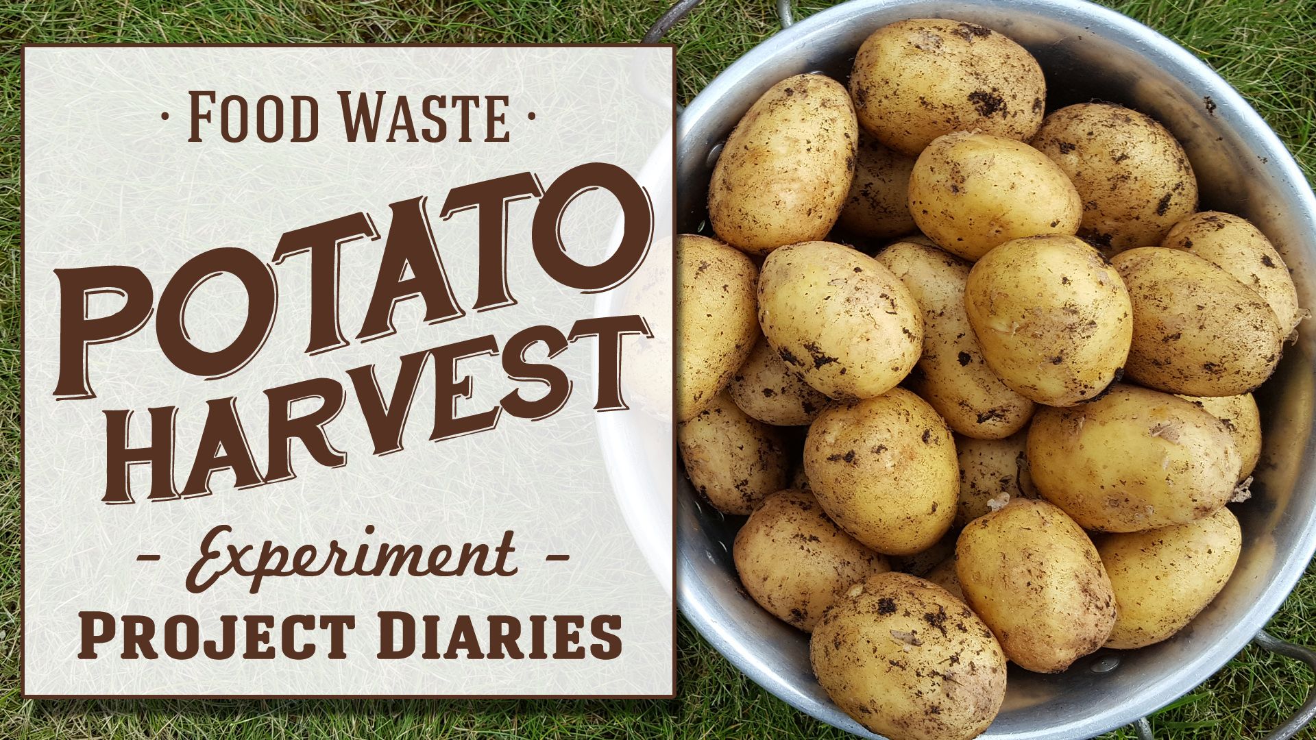 Potato Harvest.jpg